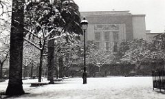 SIDI BEL ABBES 1954 SOUS LA NEIGE  (3)